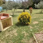 U Sole * アジャクシオ